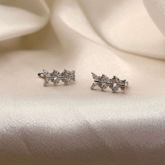 Winged Earrings in Silver