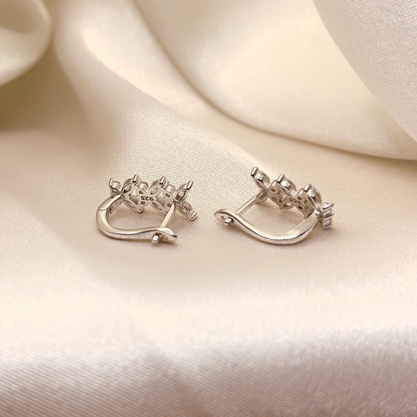 Winged Earrings in Silver