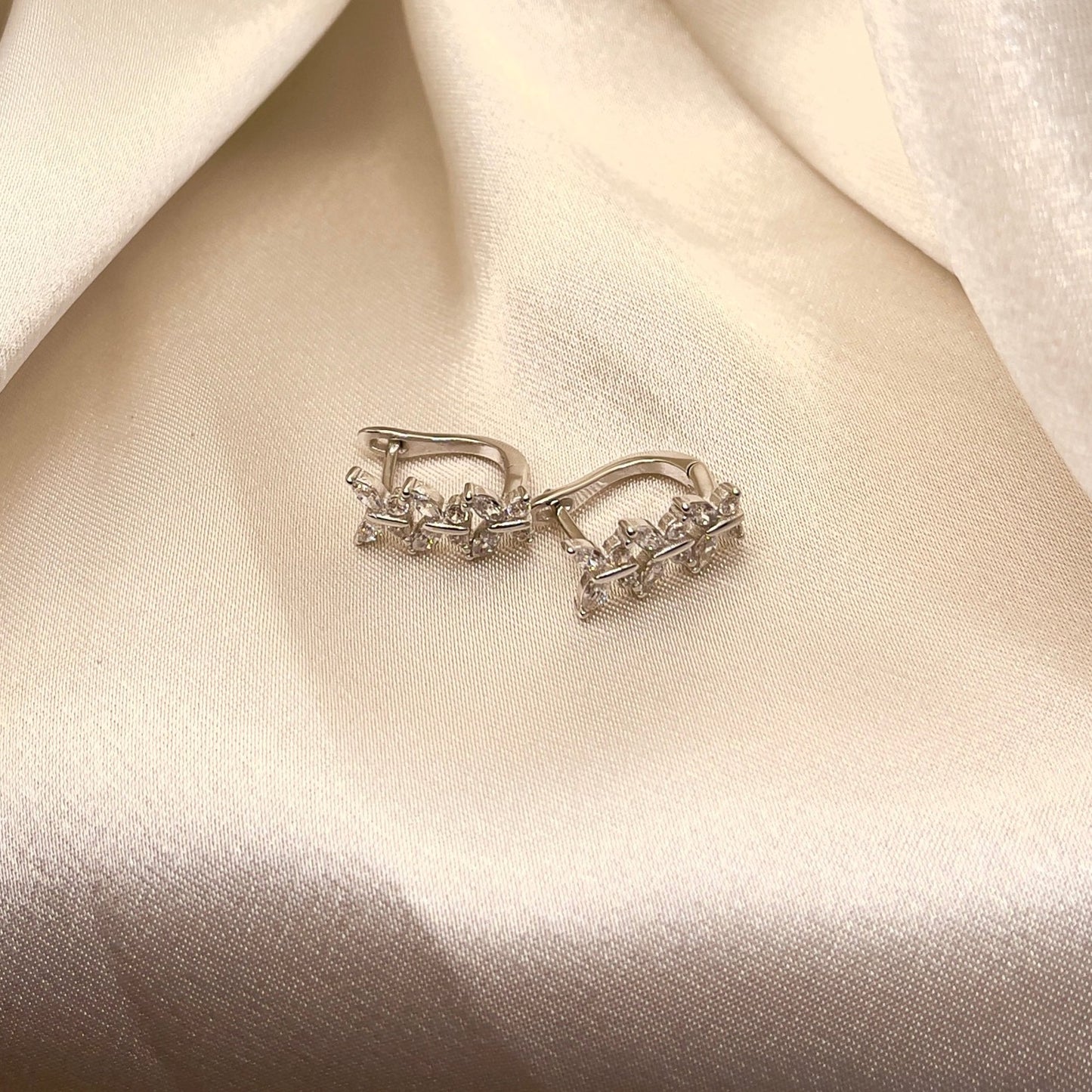 Winged Earrings in Silver
